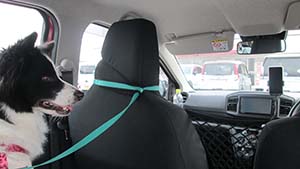 �N���b�N���Ċg��